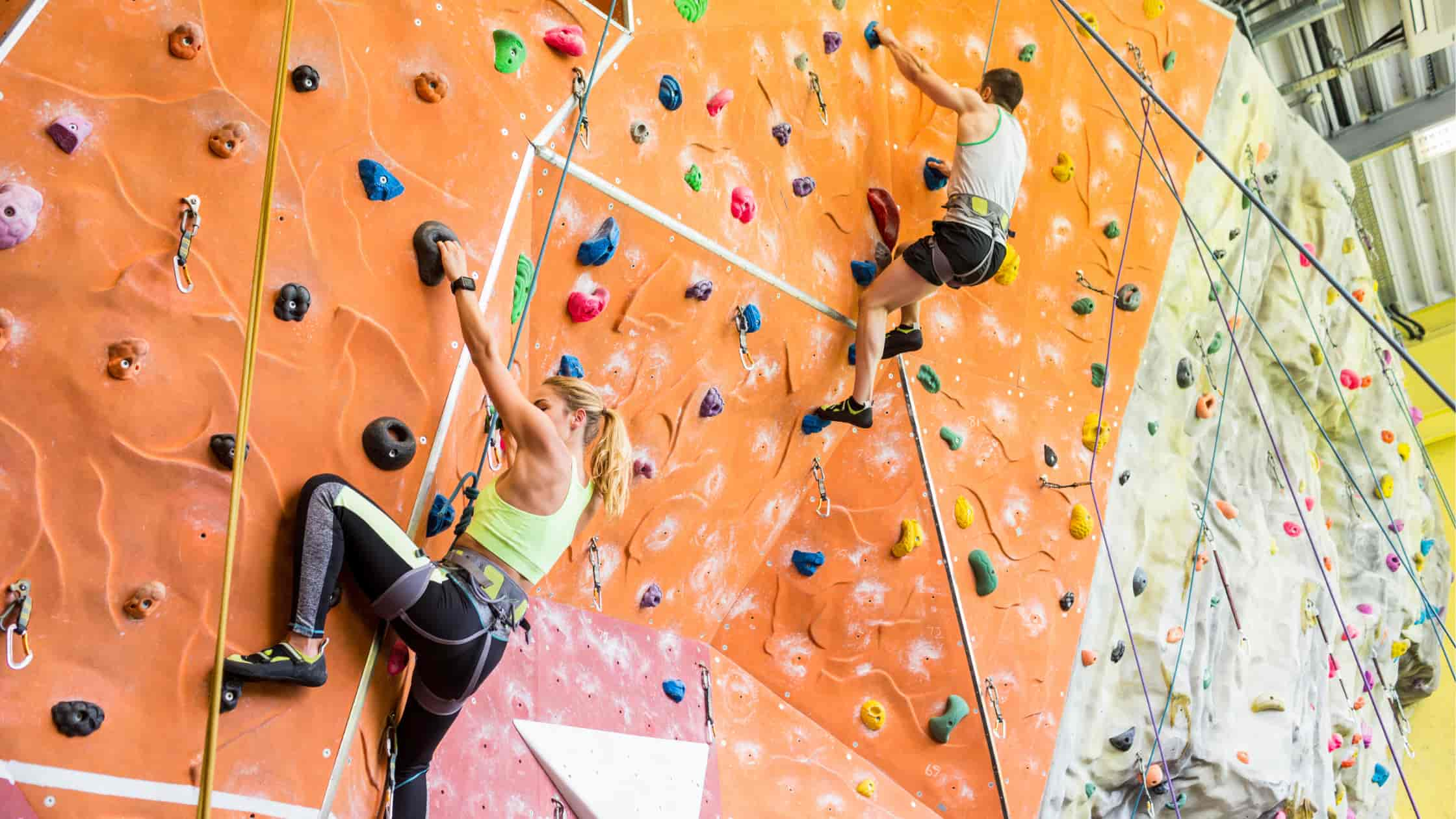 Indoor Rock Climbers