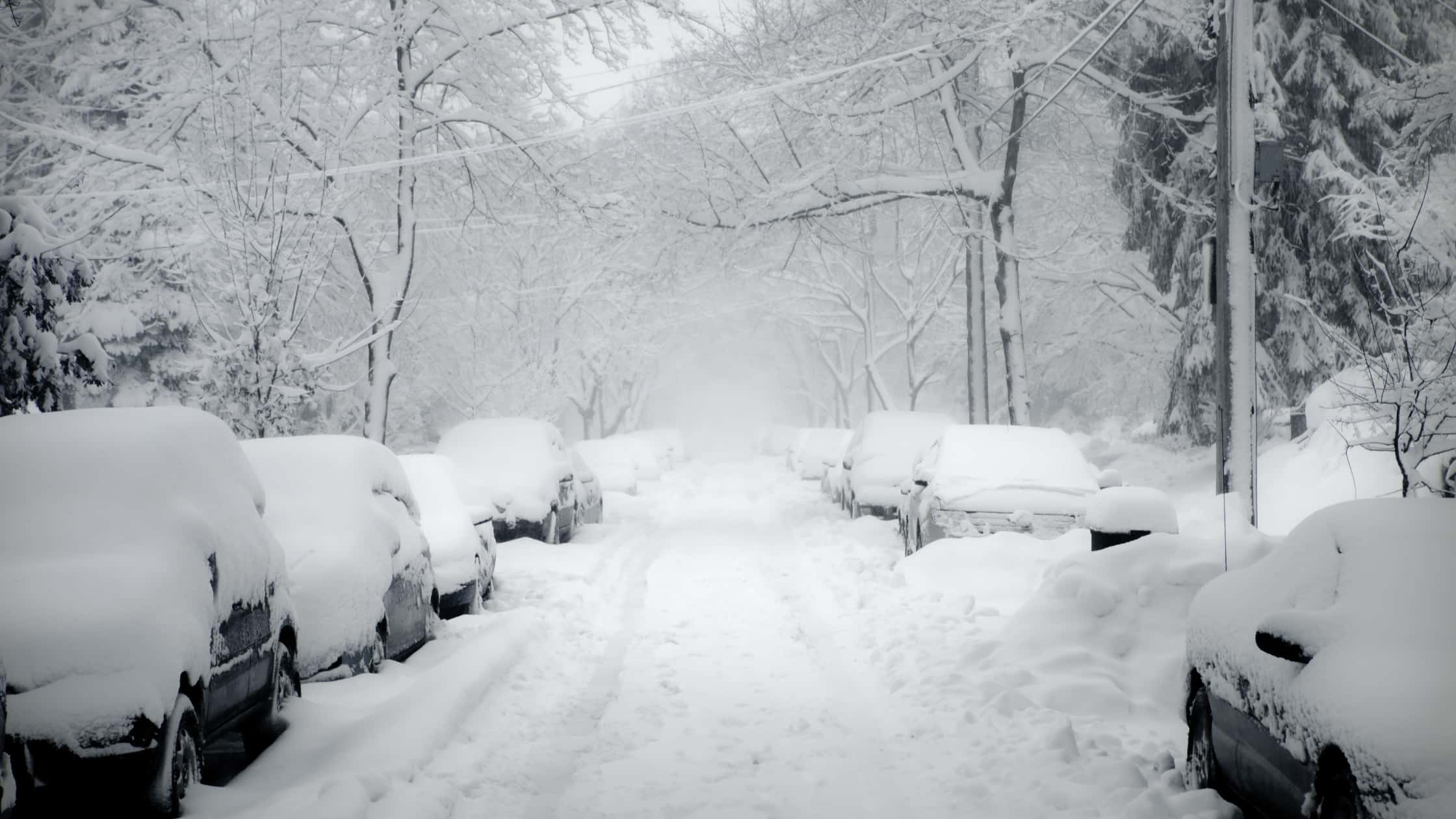 Blizzard with cars covered in snow